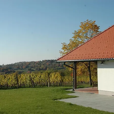 カントリーハウス Martinova Klet